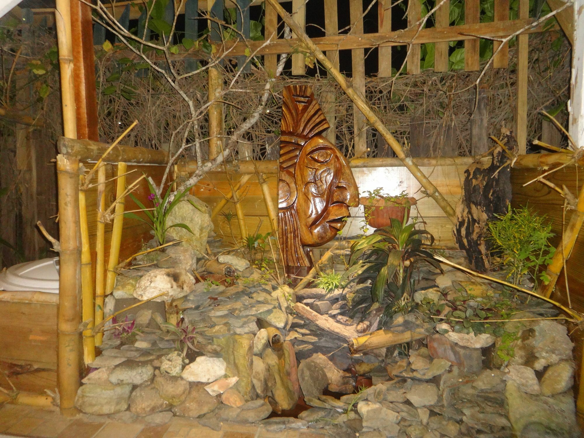 Cocopele Inn San Ignacio Buitenkant foto